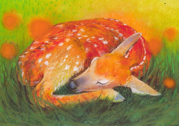 Loes Botman Deer - Postcard