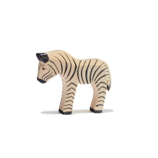Baby Zebra