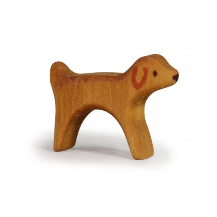 Hond