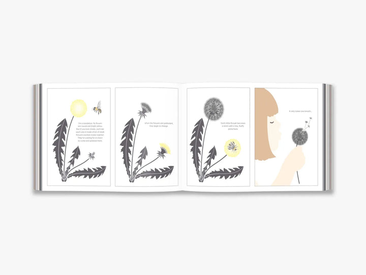 From Tiny Seeds by Émilie Vast-Books-Books-9780500651896-Stardust-Store