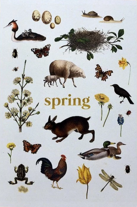 Ginger and the Fireflies Spring - Postcard-Spring - Summer Postcards-Waldorf Postcards--Stardust-Store