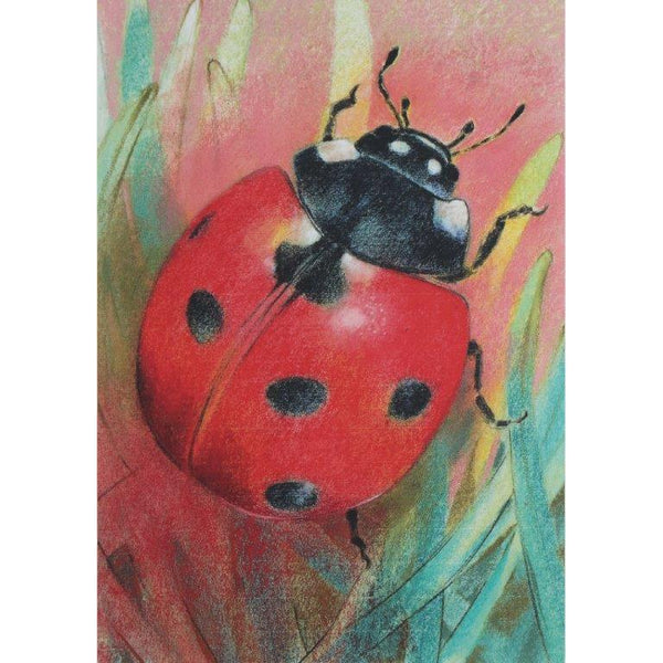 Loes Botman Ladybug - Postcard-Spring - Summer Postcards-Waldorf Postcards-8717027011743-Stardust-Store