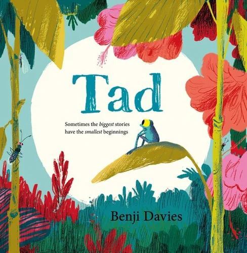 Tad by Benji Davies-Books-Books-9780008212797-Stardust-Store